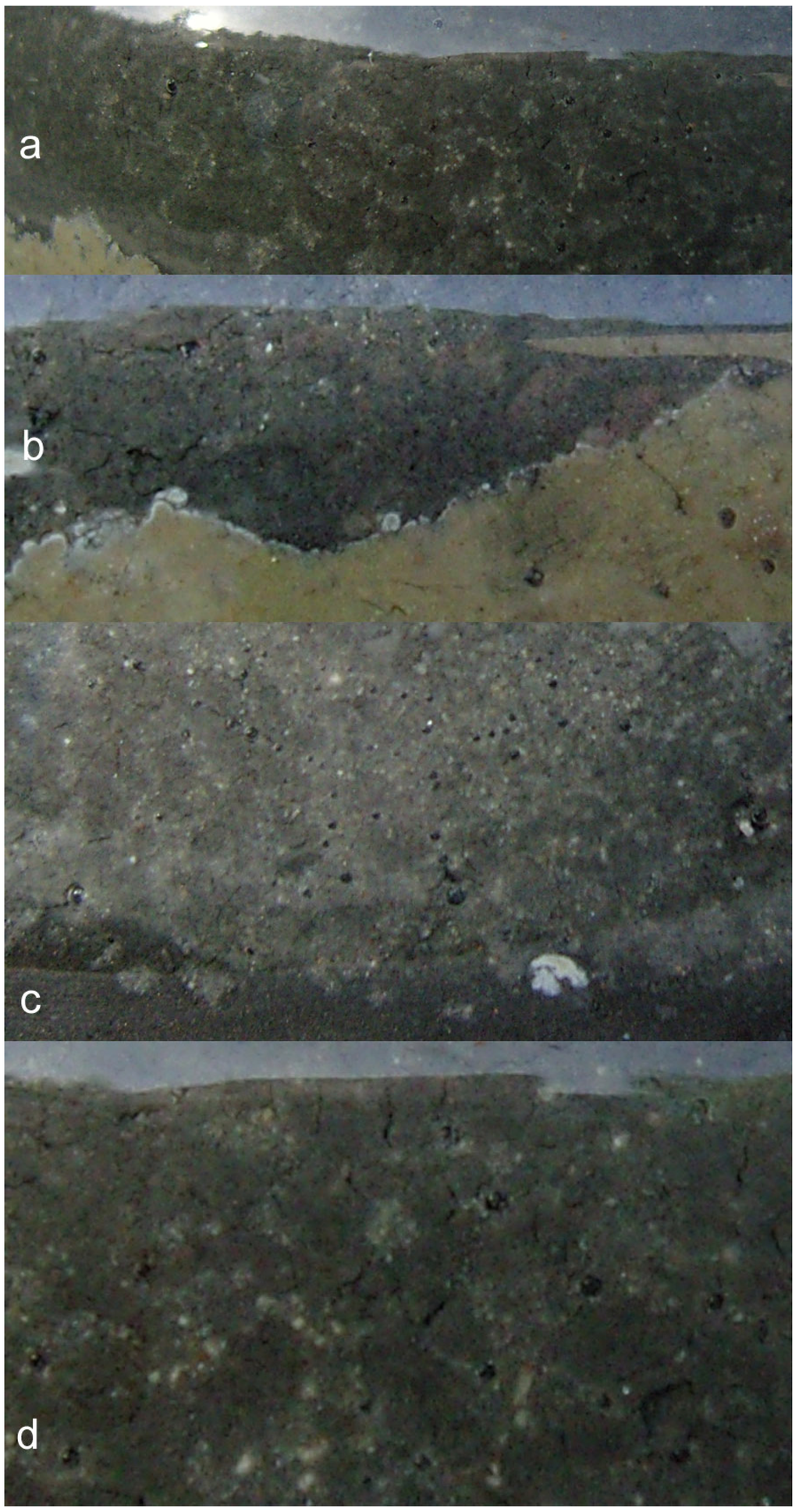 Sustainability 02 02988 g046 1024