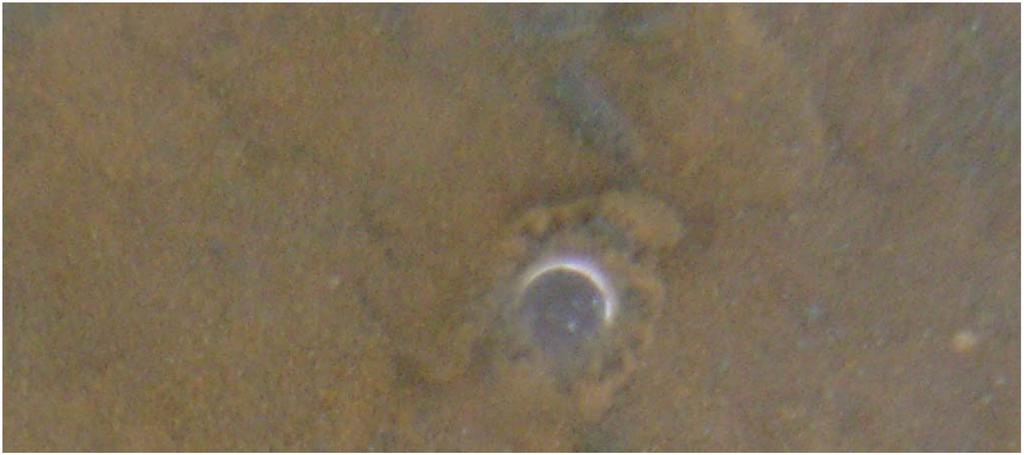 Sustainability 02 02988 g070 1024