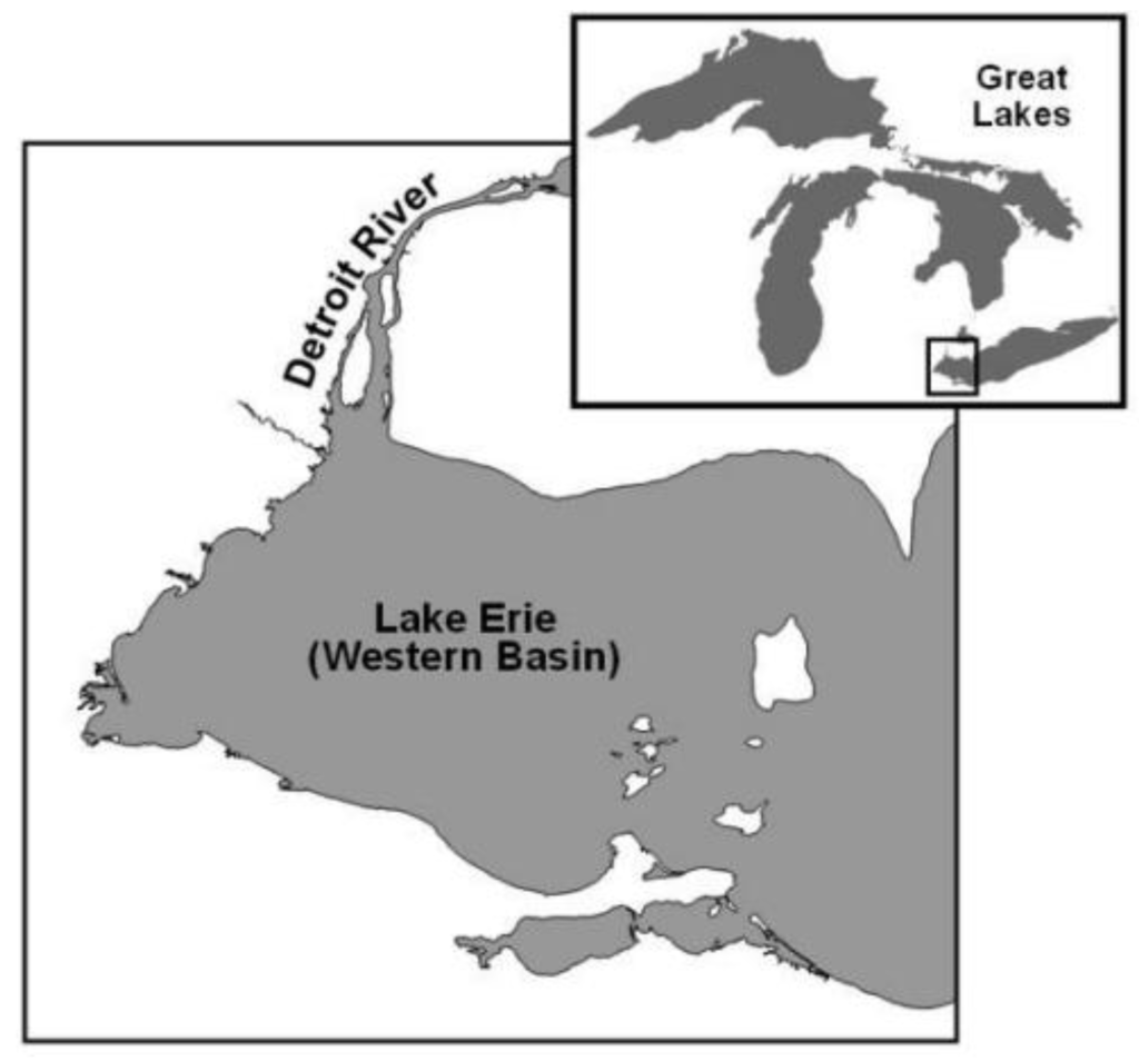 Sustainability 02 03110 g001 1024