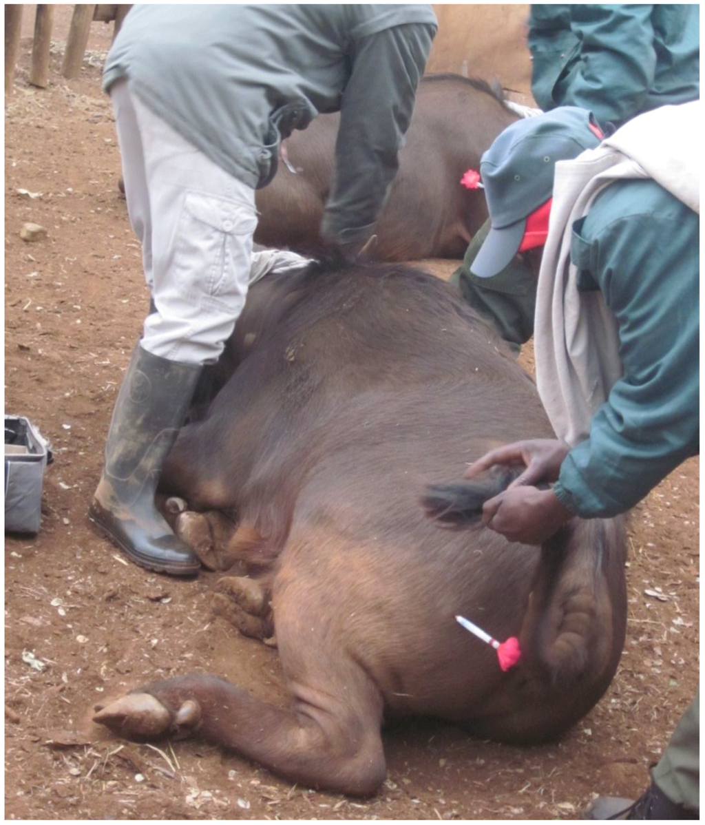 Sustainability 04 03124 g004 1024