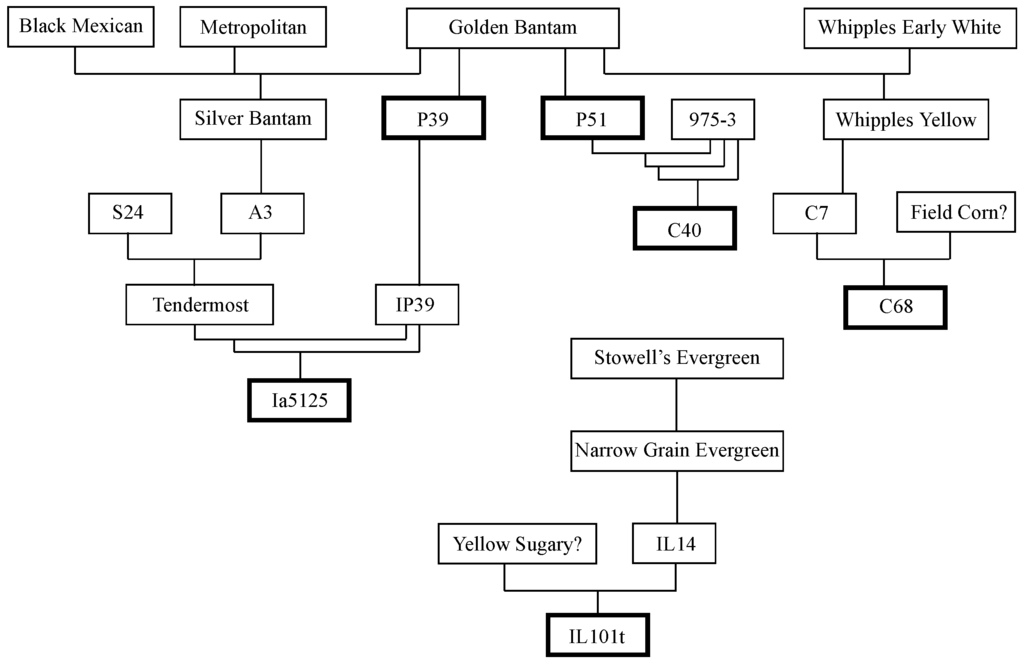 Sustainability 05 02442 g002 1024