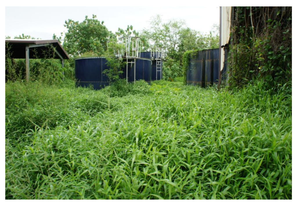 Sustainability 05 04183 g006 1024