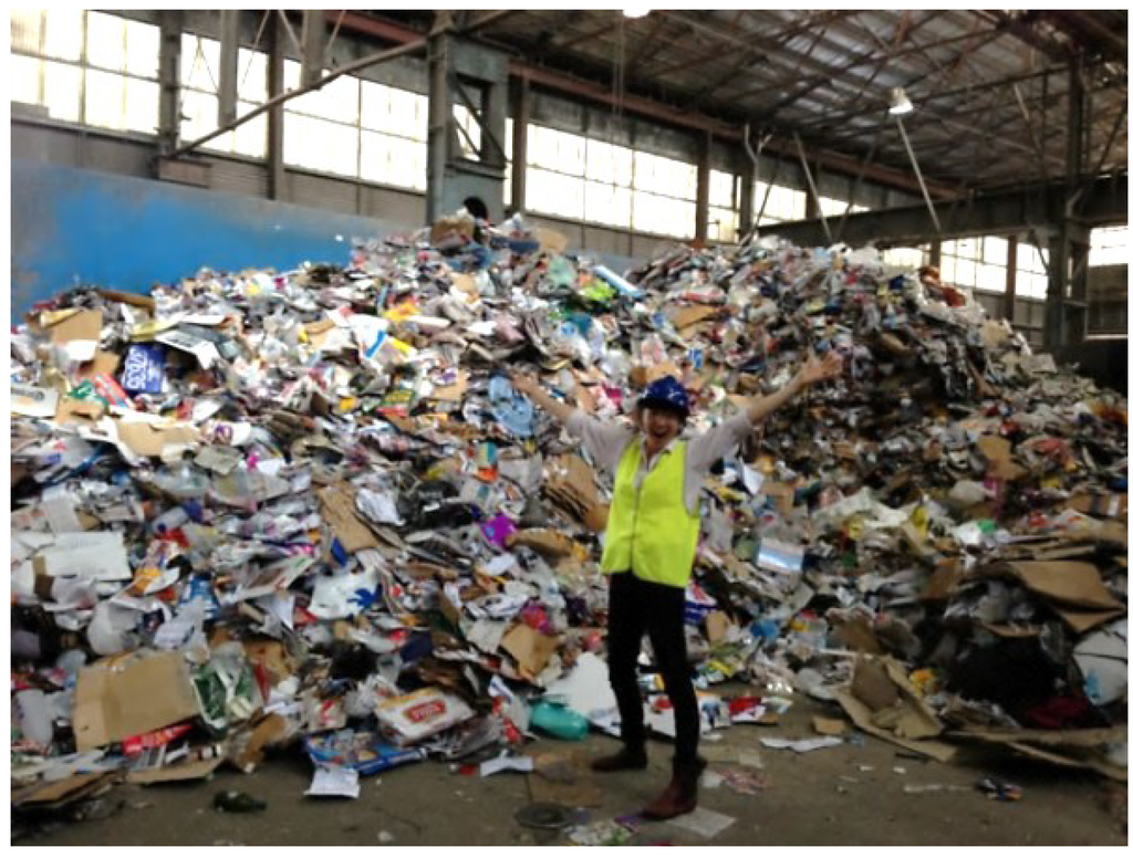 Sustainability 05 05289 g002 1024