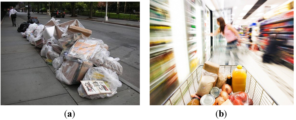 Sustainability 05 05289 g010 1024