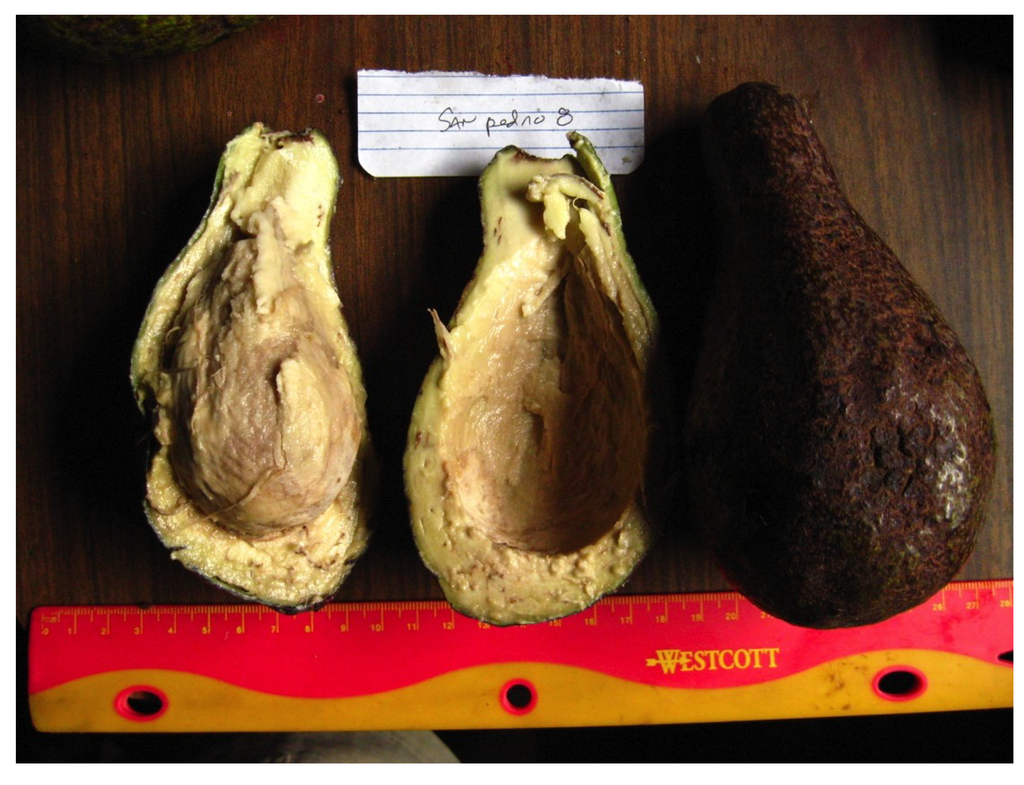 Sustainability 06 00099 g001 1024