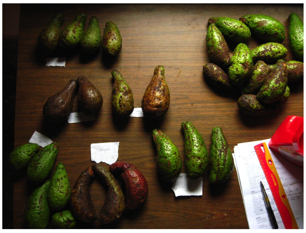 Sustainability 06 00099 g002 1024