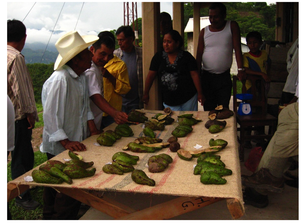 Sustainability 06 00099 g003 1024