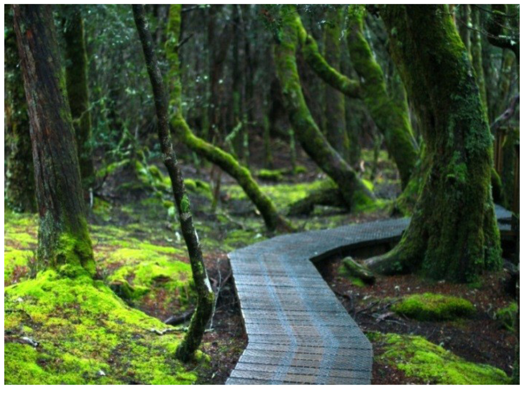 Sustainability 06 00474 g001 1024