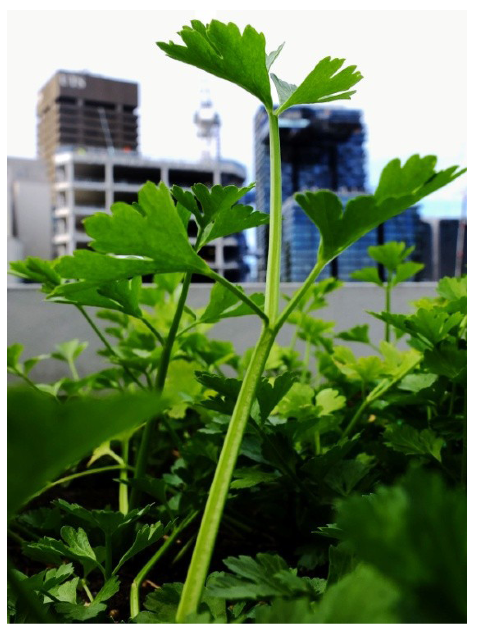 Sustainability 06 00474 g005