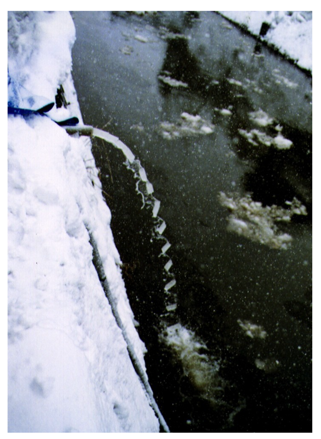 Sustainability 06 00530 g004 1024