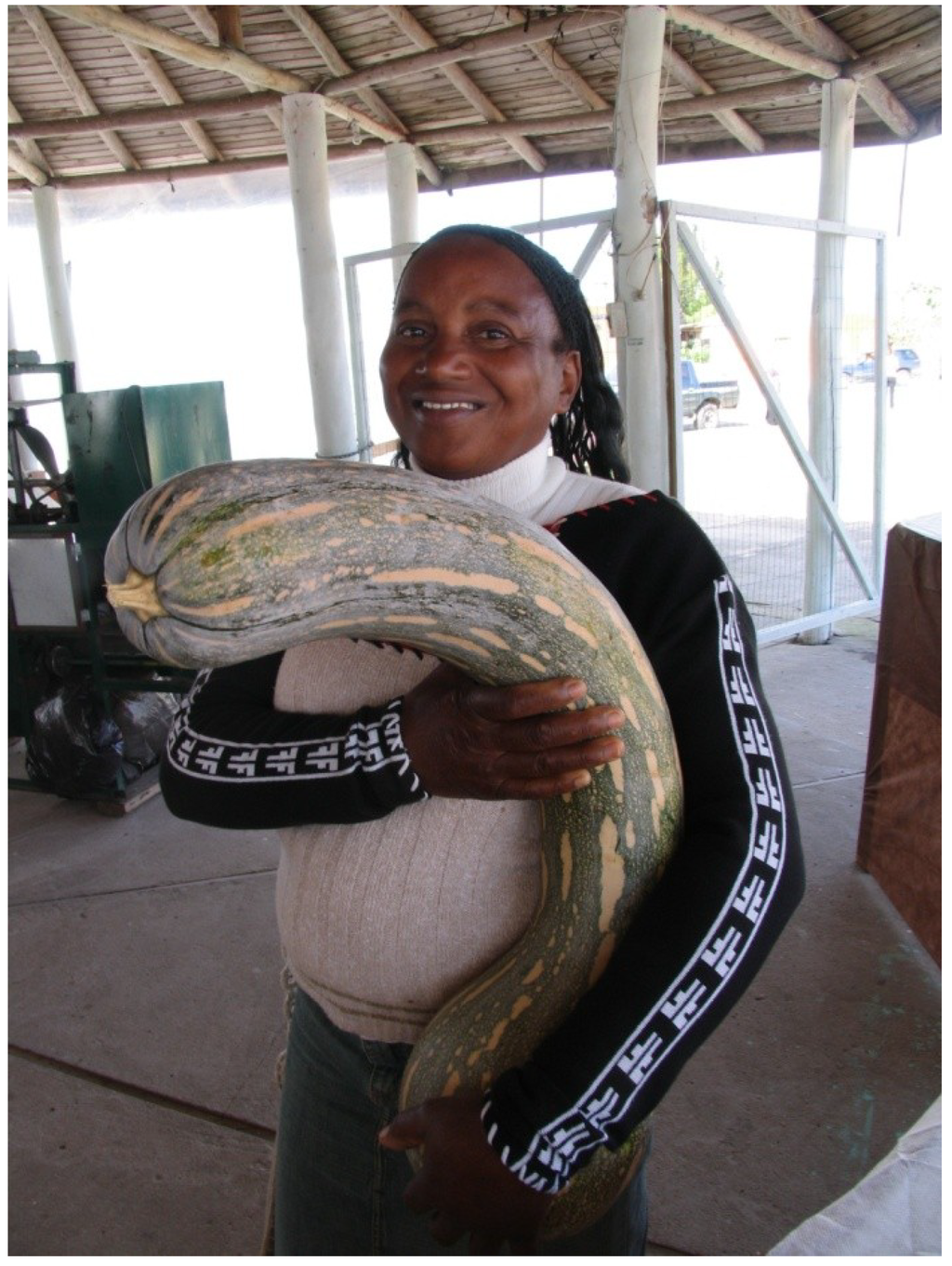 Sustainability 06 00741 g001 1024