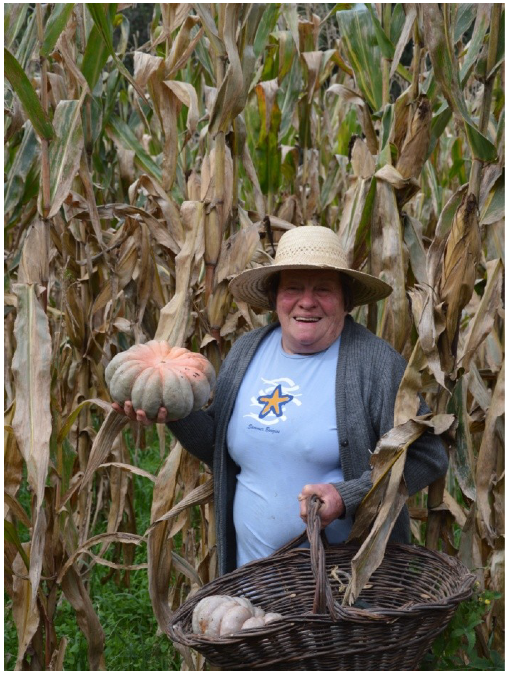 Sustainability 06 00741 g002