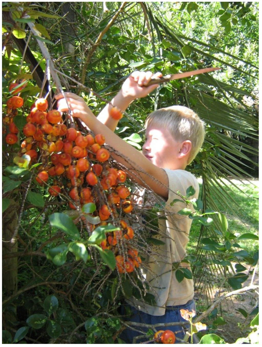 Sustainability 06 00741 g003 1024