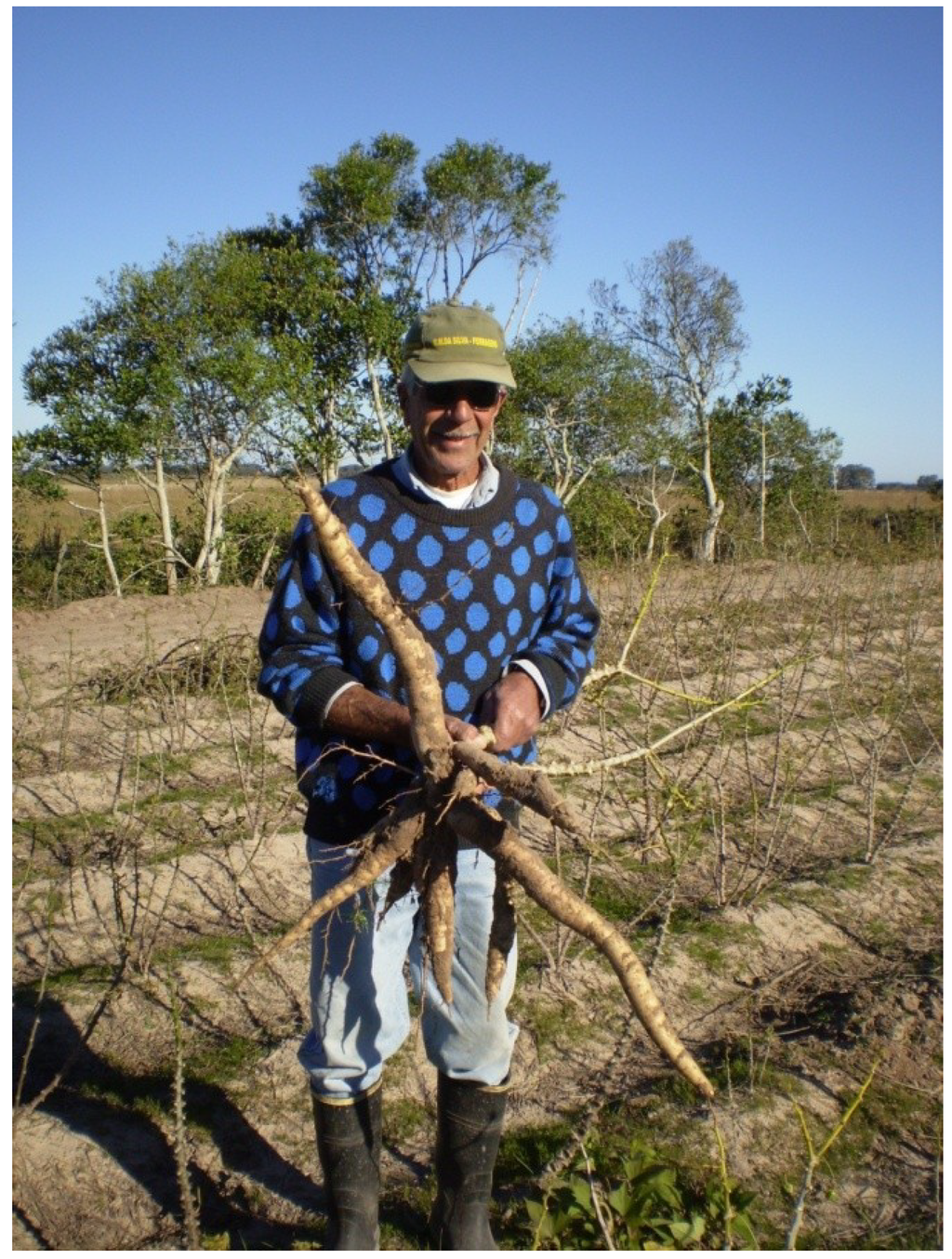 Sustainability 06 00741 g004 1024