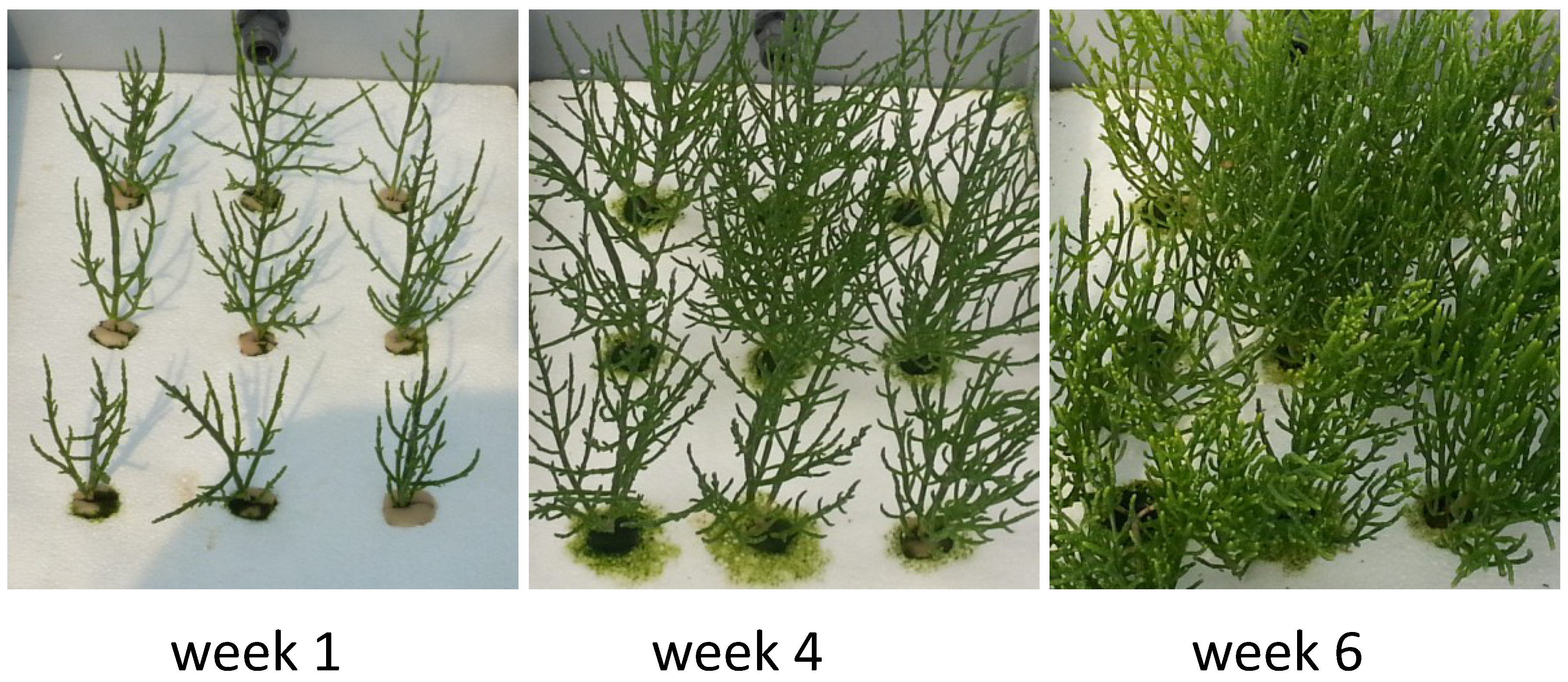 Sustainability 06 00836 g002