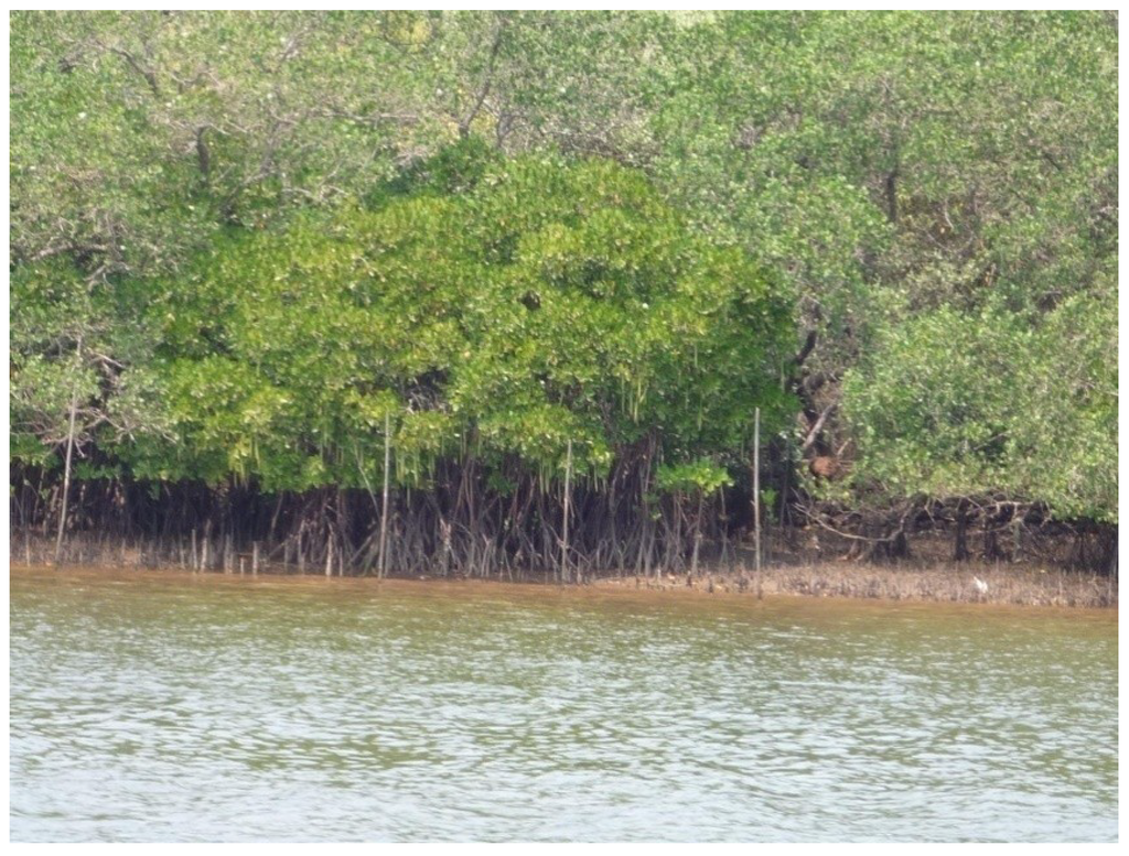 Sustainability 06 00836 g003 1024