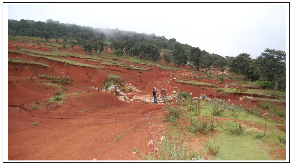 Sustainability 06 00935 g002 1024