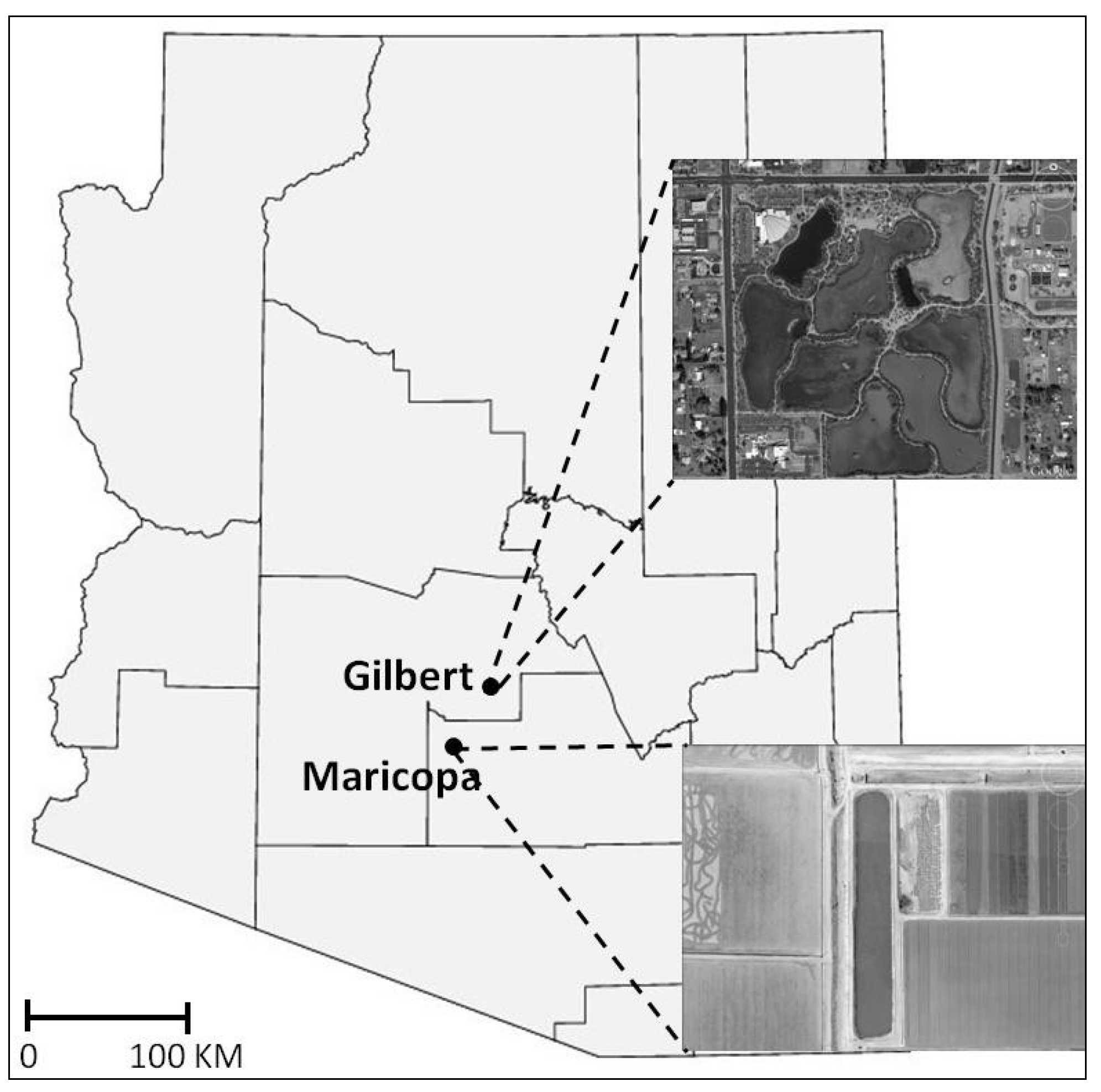 Sustainability 06 01313 g001