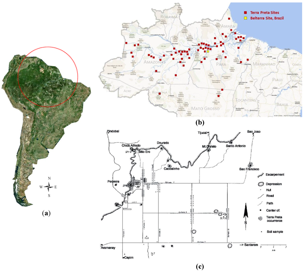Sustainability 06 01328 g001 1024