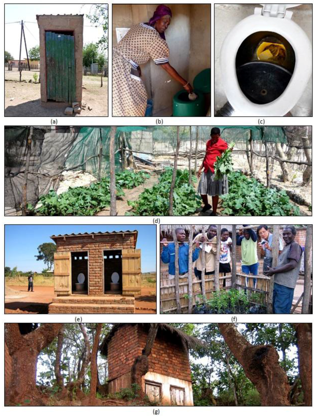 Sustainability 06 01328 g007 1024