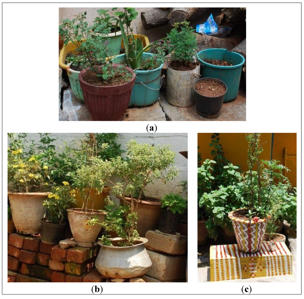 Sustainability 06 02459 g003 1024