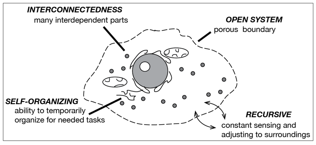 Sustainability 06 02893 g001 1024