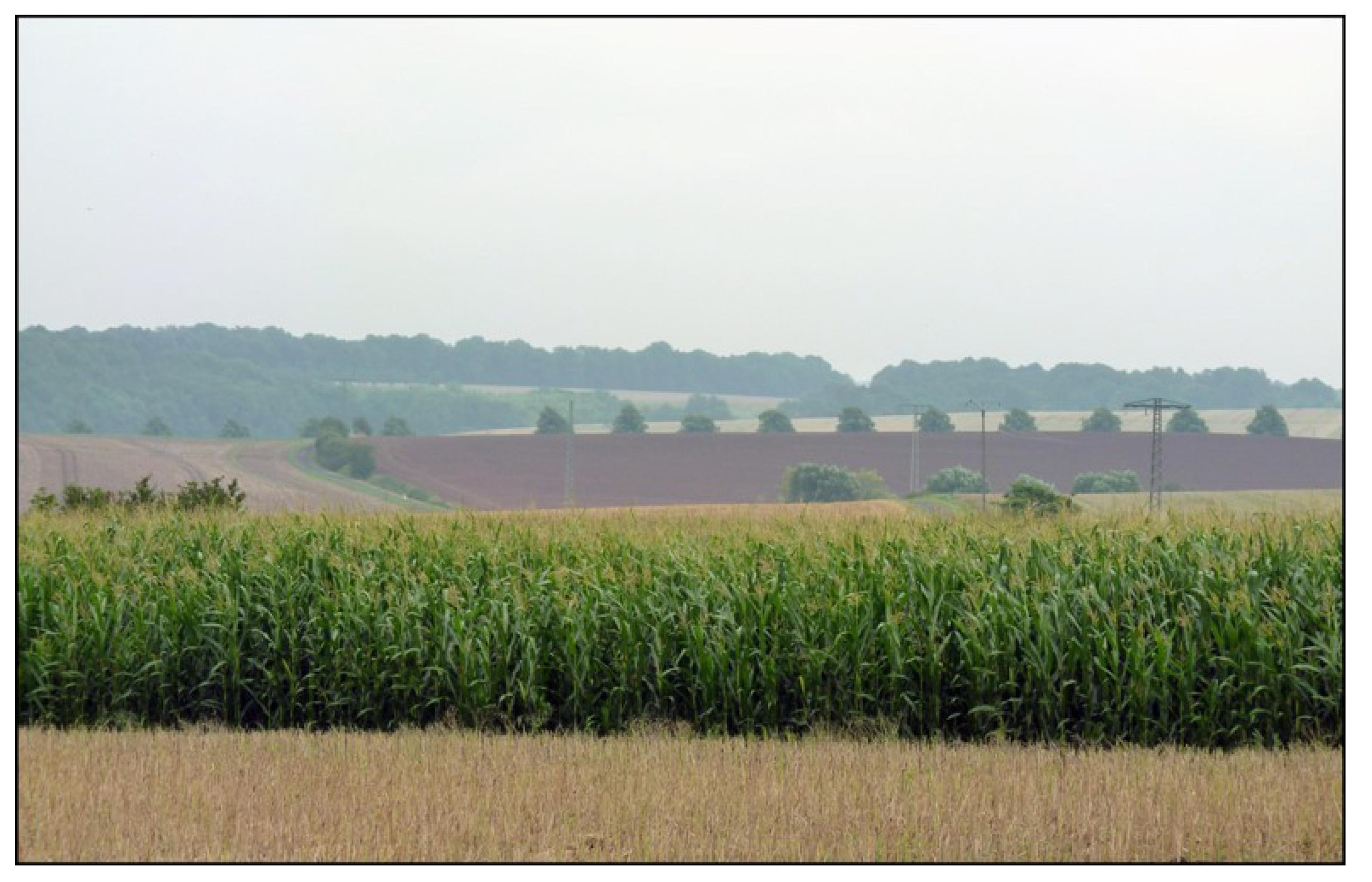 Sustainability 06 04386 g006