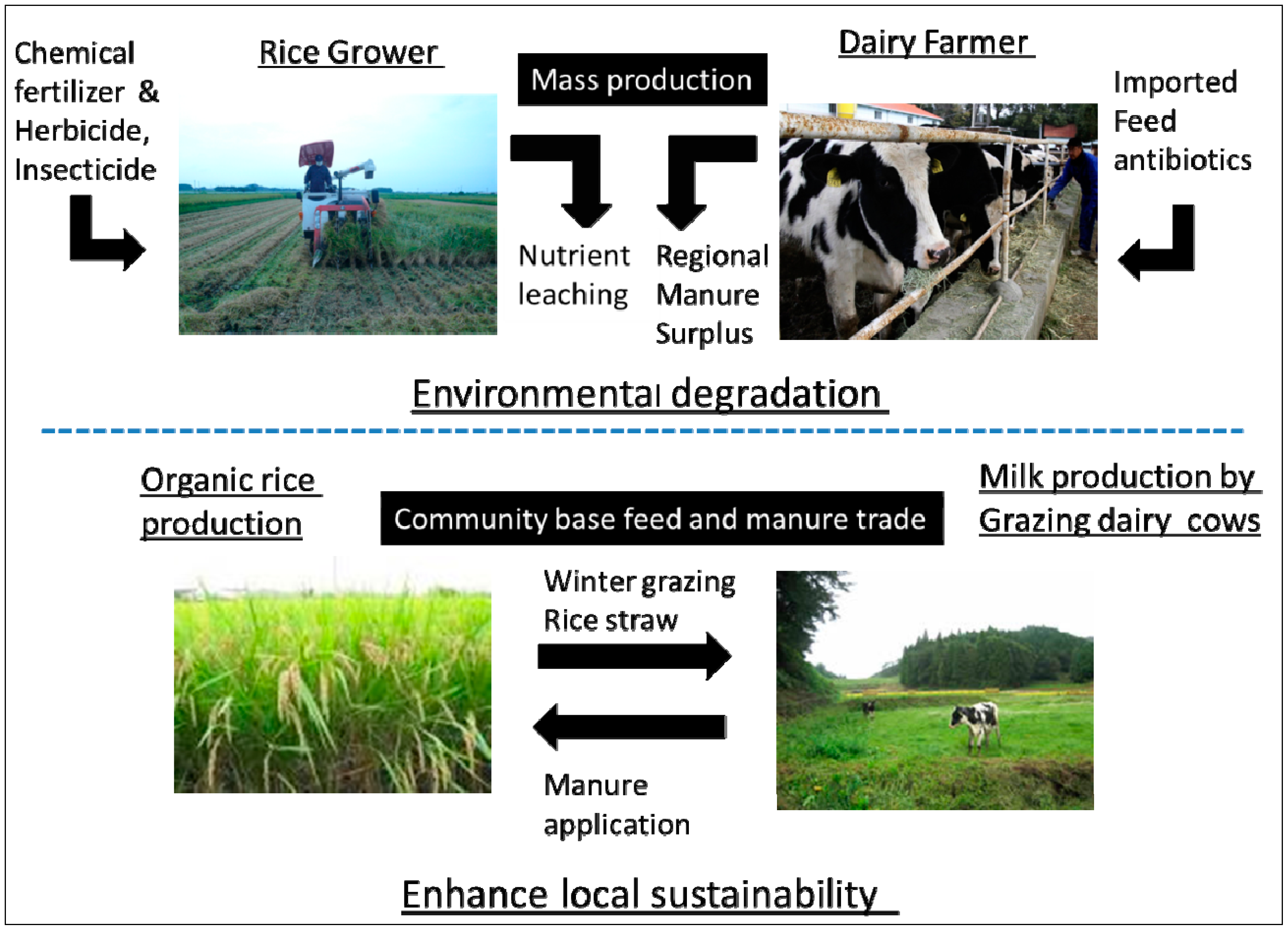 Sustainability 06 04975 g001