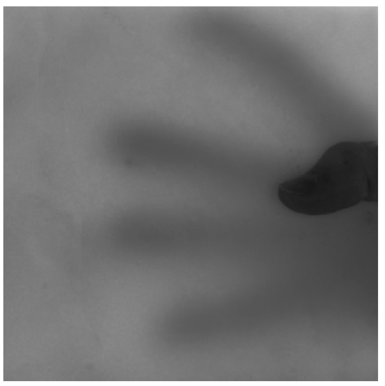 Sustainability 06 05439 g002