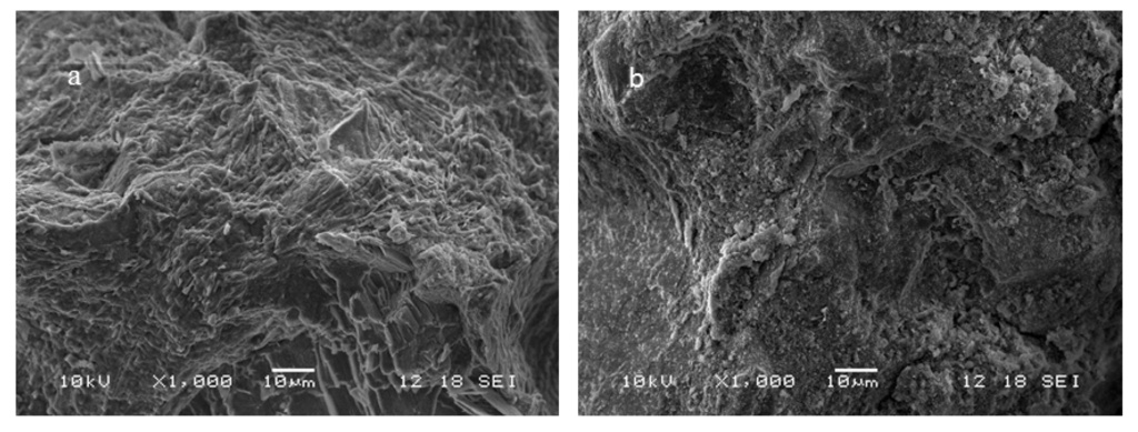 Sustainability 06 05535 g009 1024