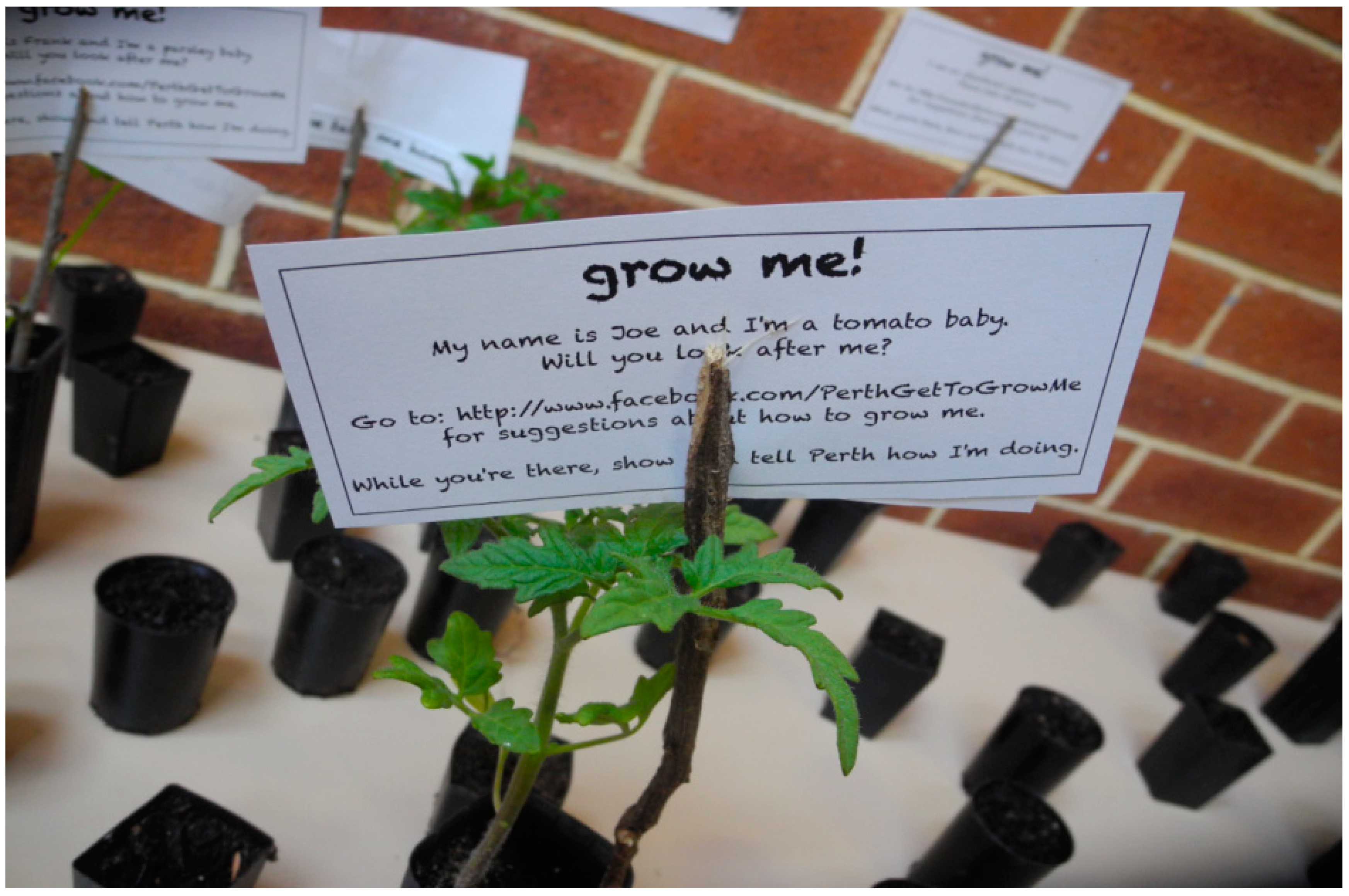 Sustainability 06 05955 g003