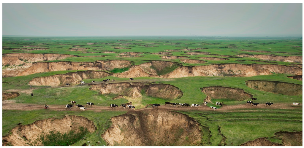 Sustainability 06 08756 g002 1024