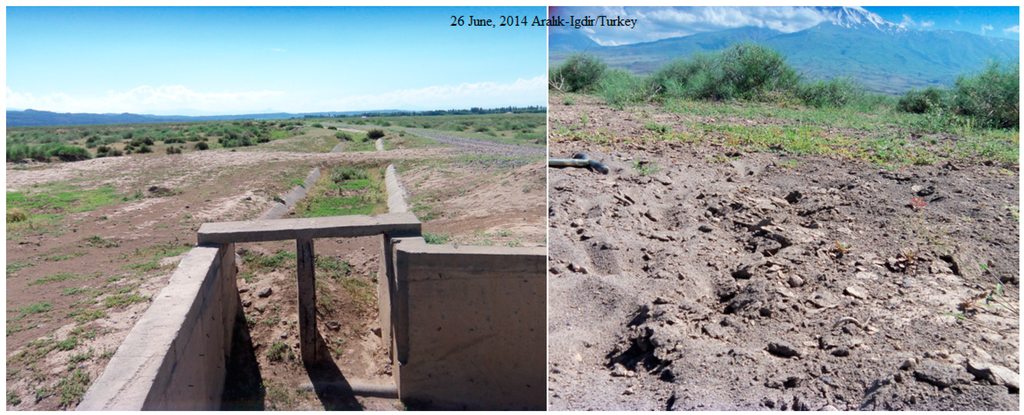 Sustainability 07 02161 g002 1024