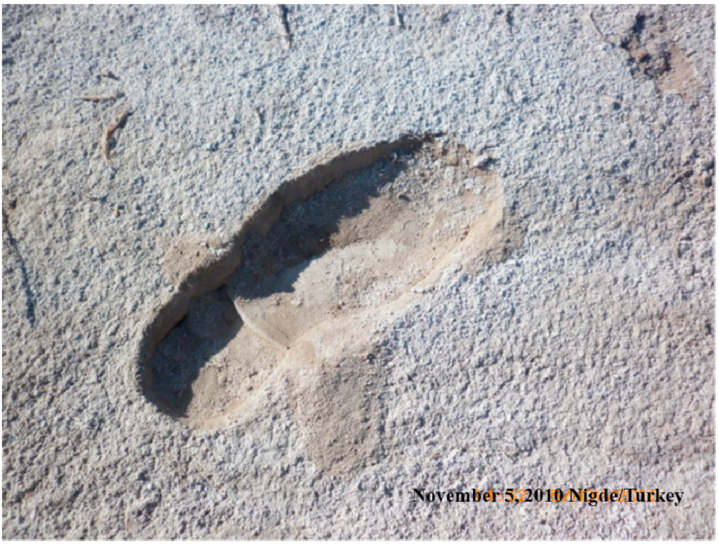 Sustainability 07 02161 g004