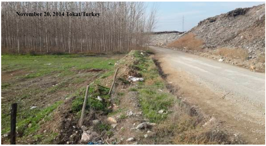 Sustainability 07 02161 g005 1024