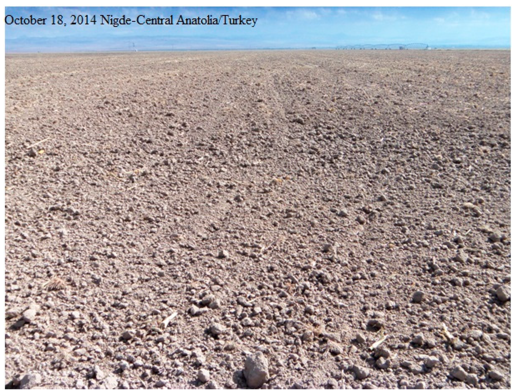 Sustainability 07 02161 g006 1024