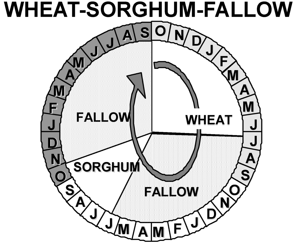 Sustainability 07 02936 g009 1024