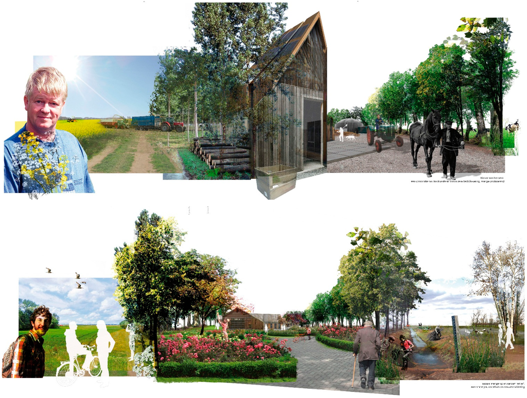 Sustainability 07 04806 g006 1024