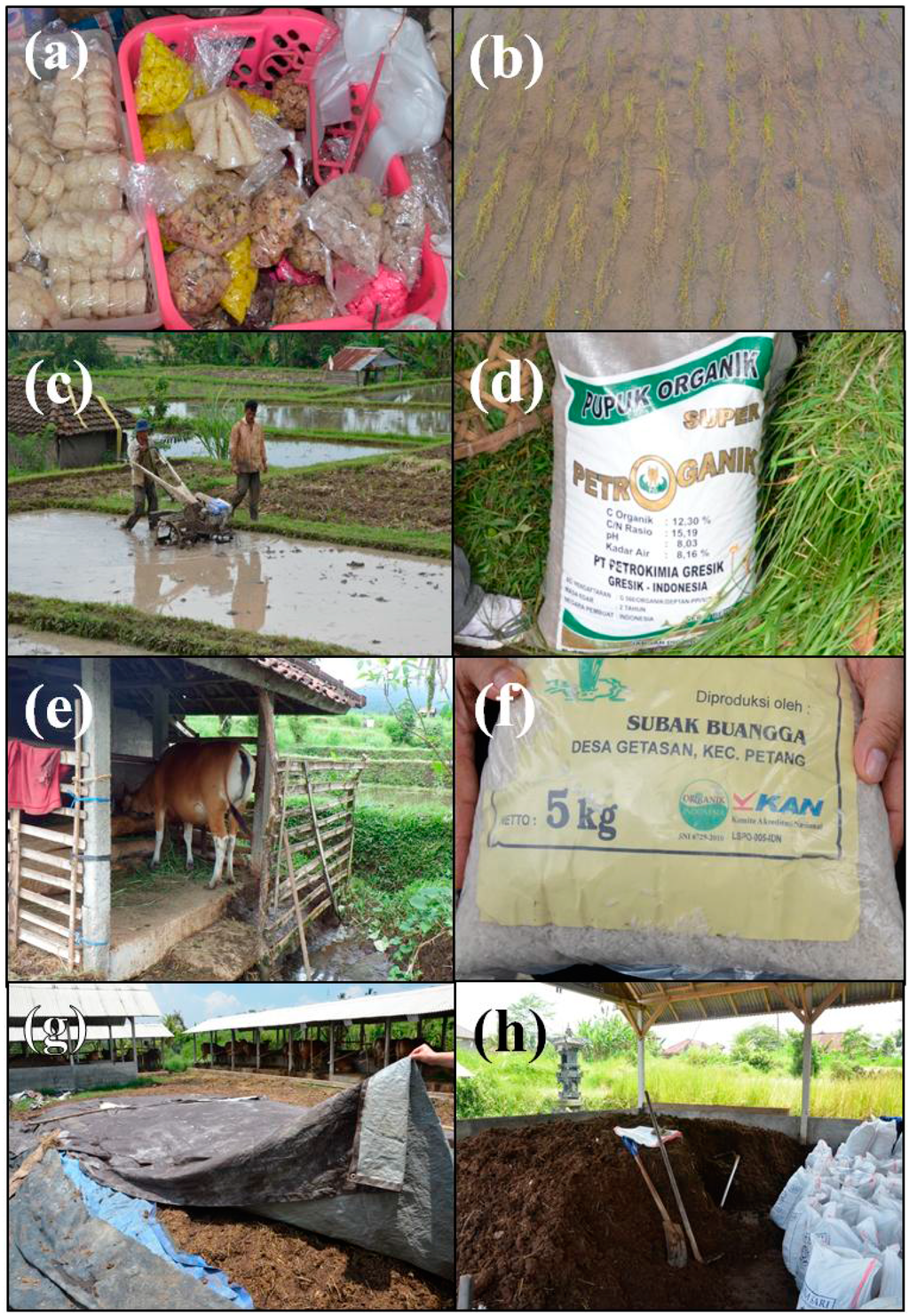 Sustainability 07 05171 g002 1024