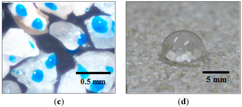 Sustainability 07 05648 g002b 1024