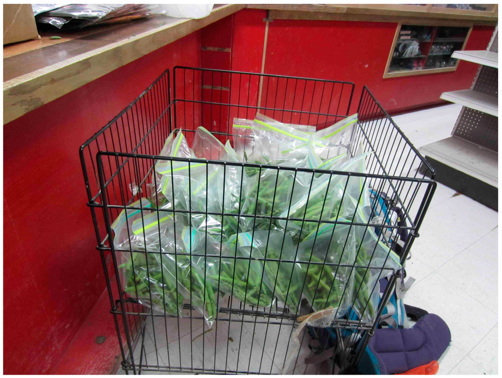 Sustainability 07 05664 g004 1024