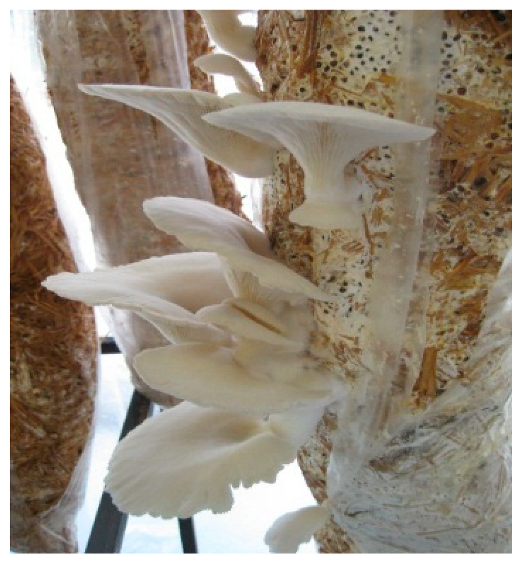 Sustainability 07 06033 g002 1024