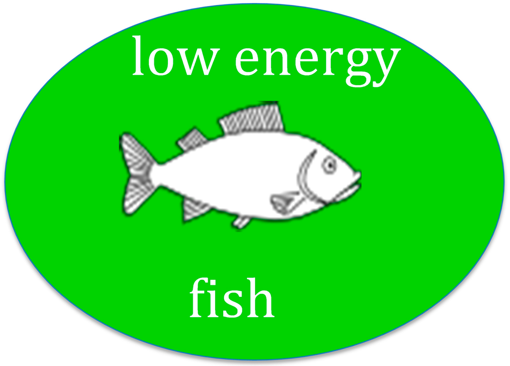 Sustainability 07 06086 g001 1024