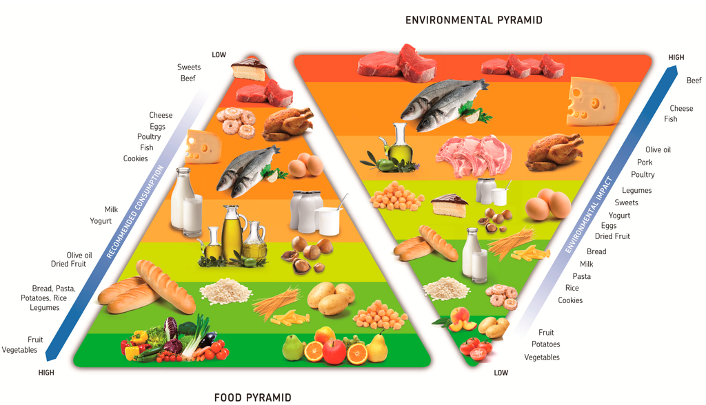 Sustainability 07 06742 g004 1024