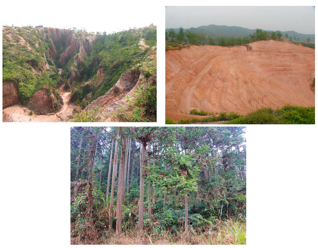 Sustainability 07 10308 g003 1024