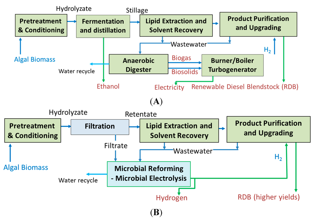 Sustainability 07 11713 g005 1024