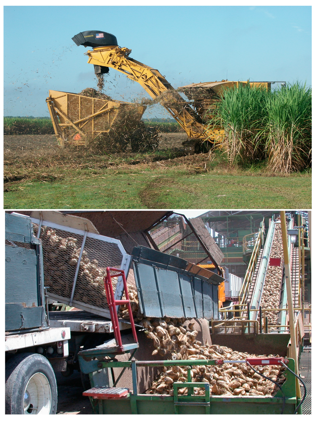 Sustainability 07 12209 g001 1024