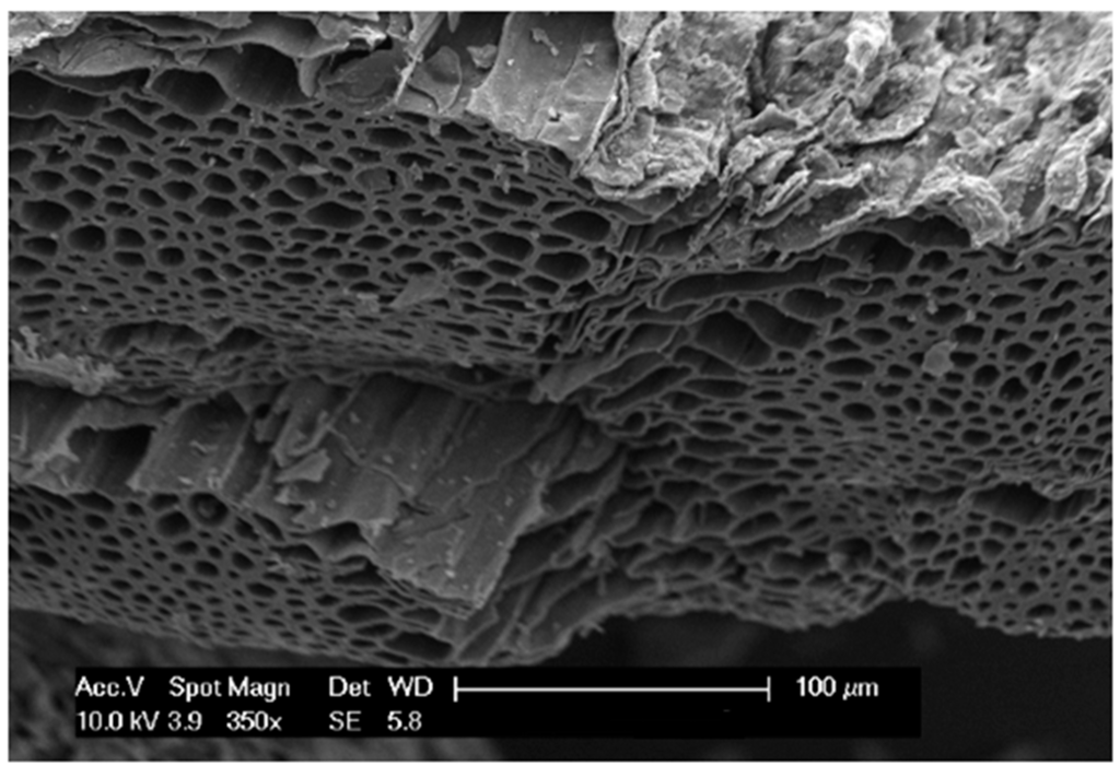 Sustainability 07 12209 g006 1024