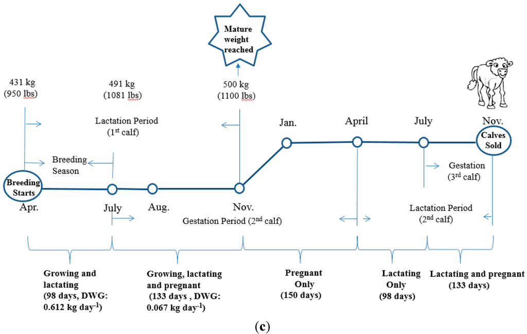 Sustainability 07 13500 g001b 1024