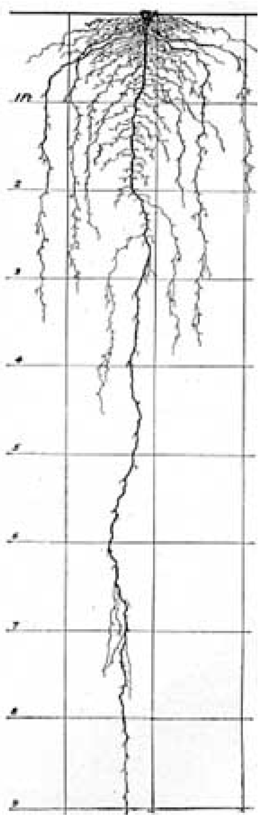 Sustainability 07 15487 g004 1024